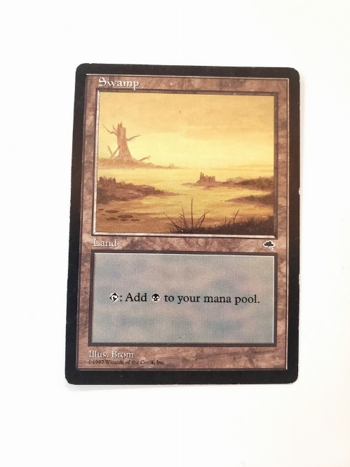 Swamp (River)