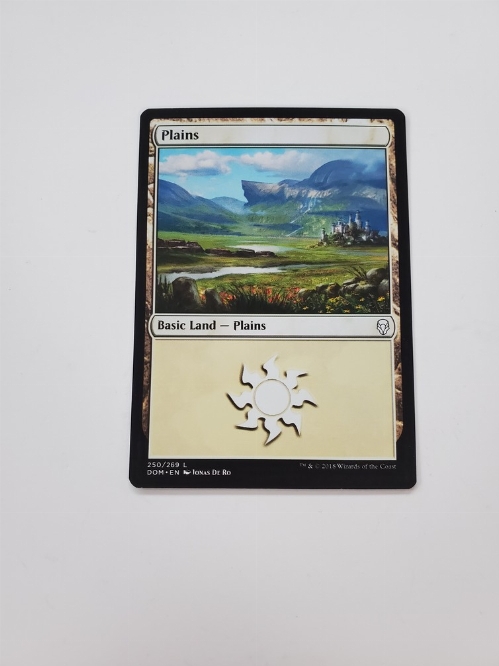 Plains (250)