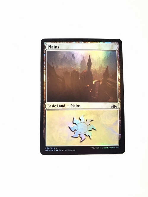 Plains (260) (Foil)