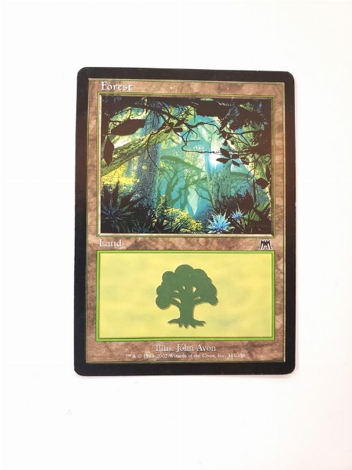 Forest (347)
