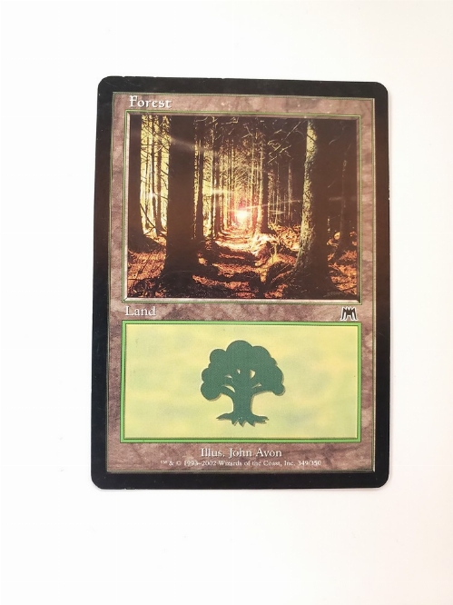 Forest (349)