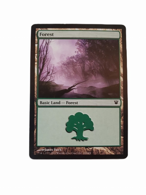 Forest (262)