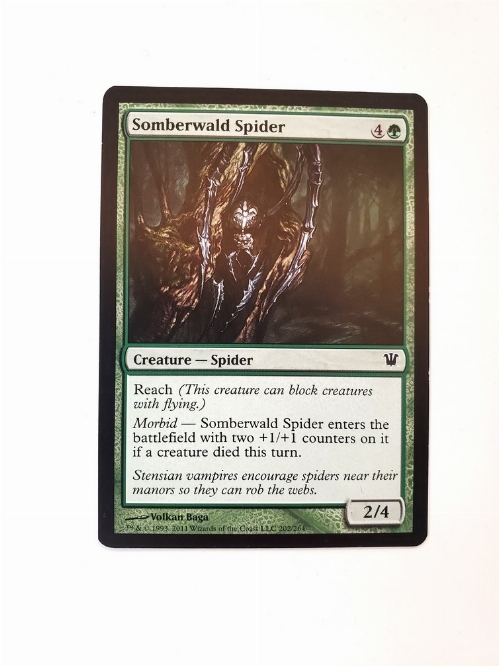 Somberwald Spider
