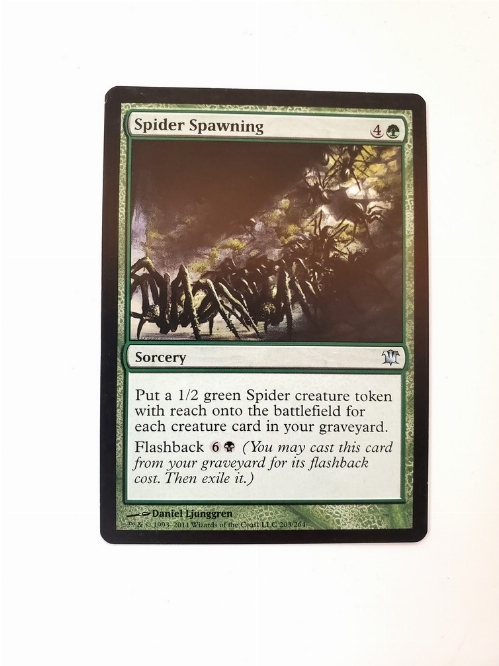 Spider Spawning