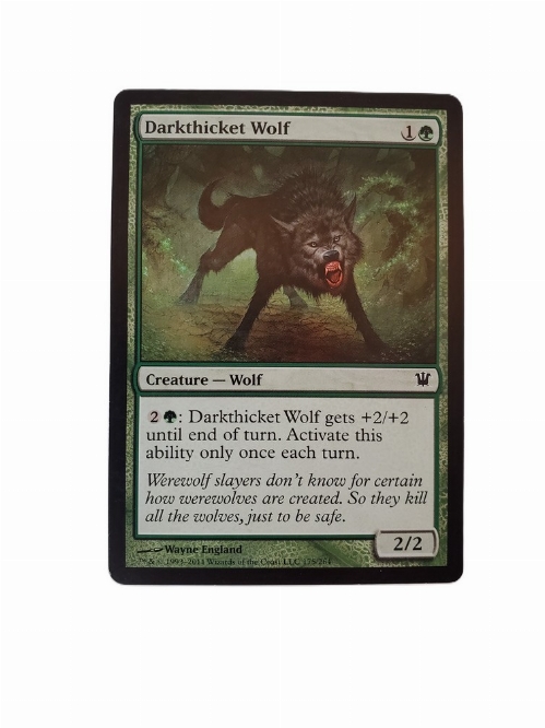 Darkthicket Wolf