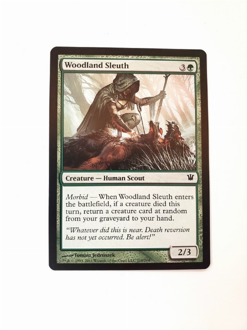 Woodland Sleuth