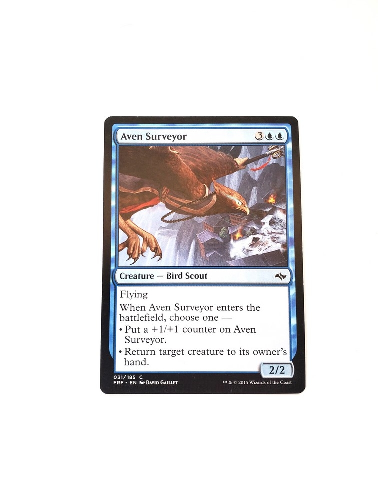 Aven Surveyor