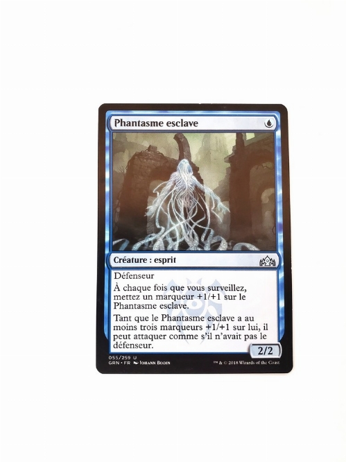 Thoughtbound Phantasm (Francaise)