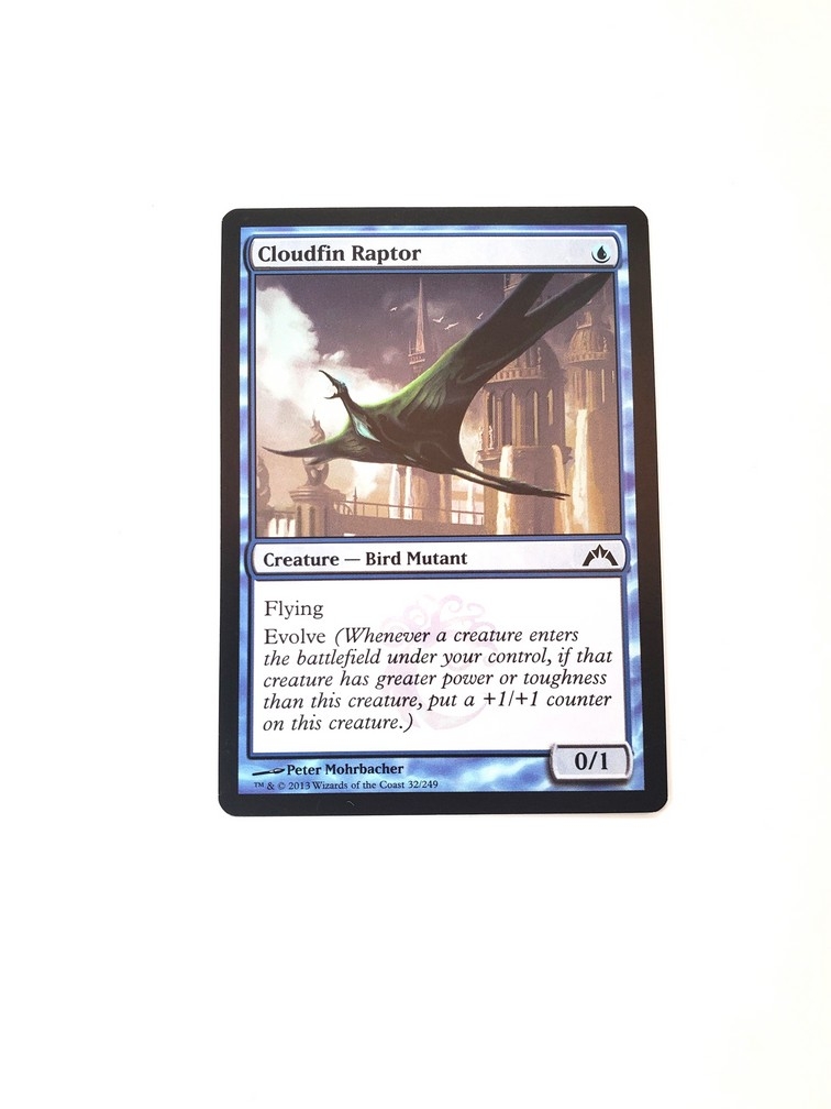 Cloudfin Raptor