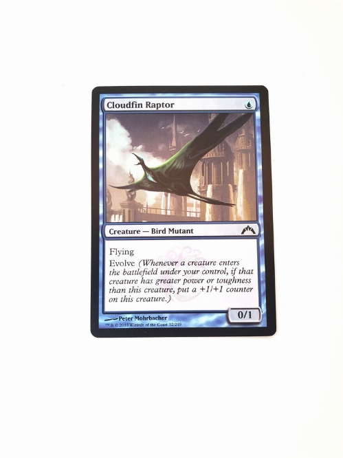 Cloudfin Raptor