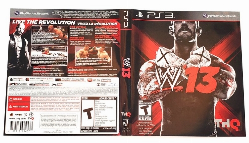 WWE 13 (B)