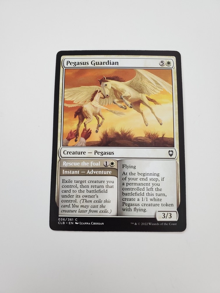 Pegasus Guardian // Rescue the Foal