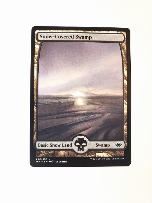 Snow-Covered Swamp
