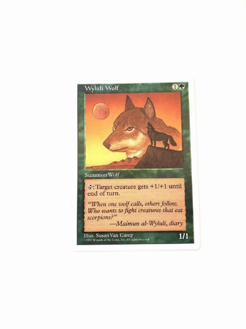 Wyluli Wolf