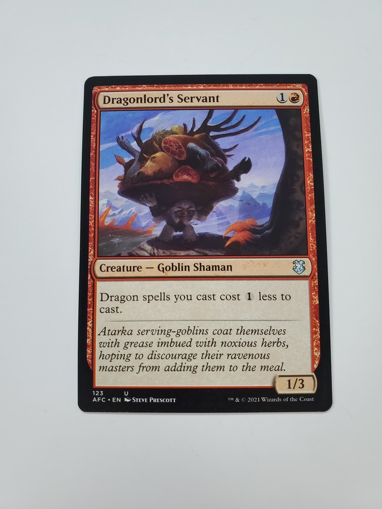 Dragonlord's Servant