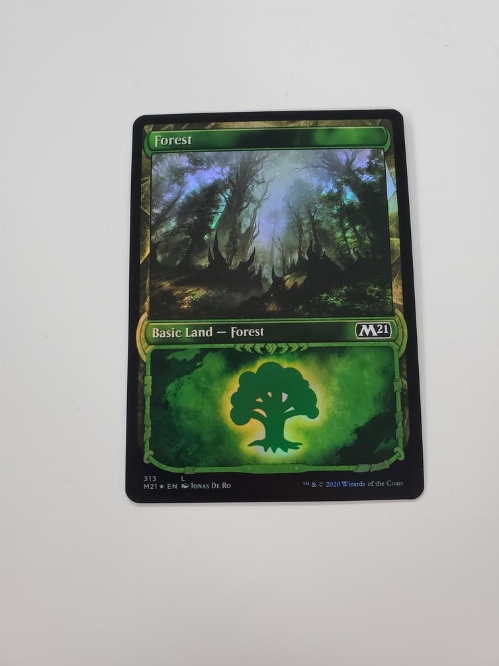 Forest (313) (Showcase) (Foil)