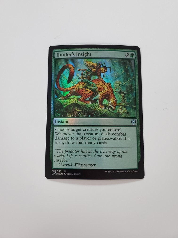 Hunter's Insight (Foil)