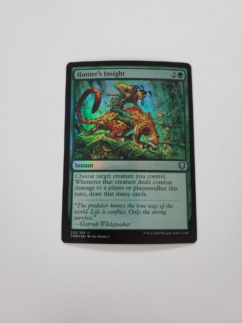 Hunter's Insight (Foil)