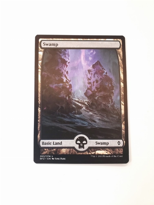 Swamp (263) - Full Art