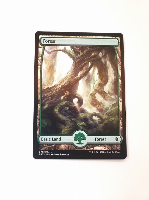 Forest (270) - Full Art
