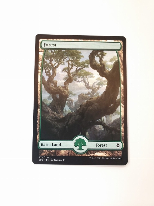 Forest (274) - Full Art