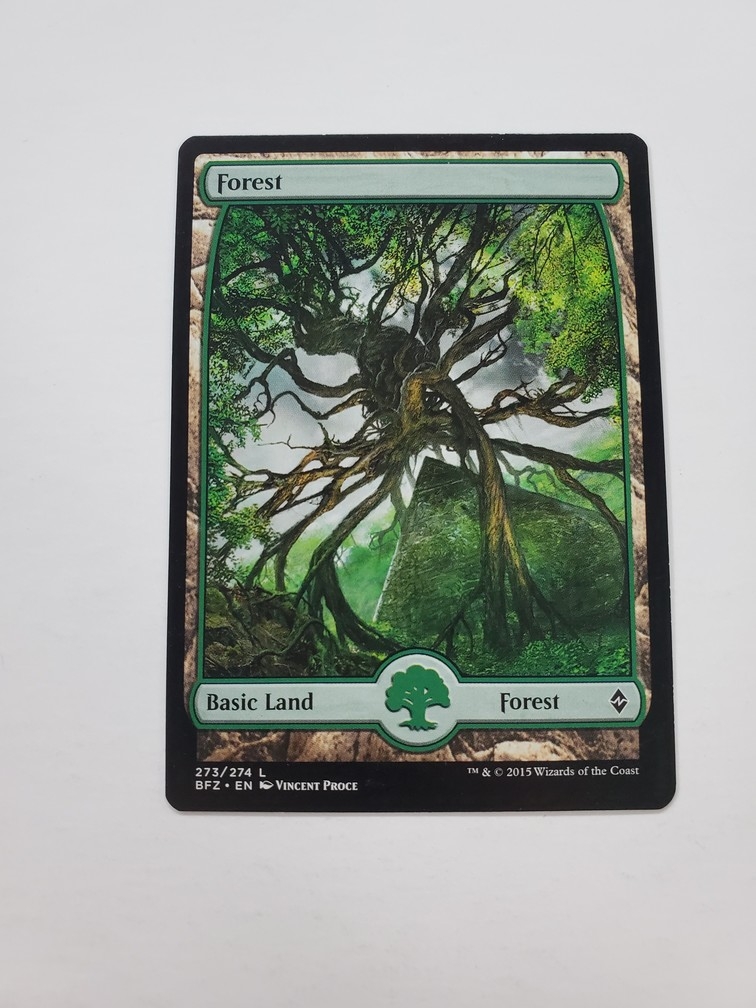 Forest (273) - Full Art