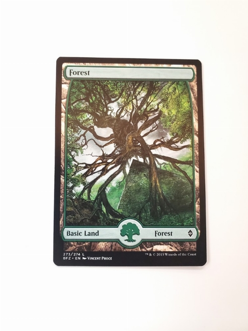 Forest (273) - Full Art