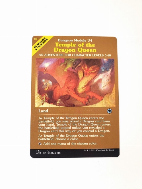 Temple of the Dragon Queen (Dungeon Module)