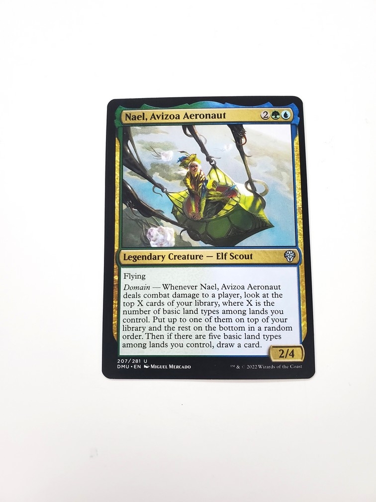 Nael, Avizoa Aeronaut