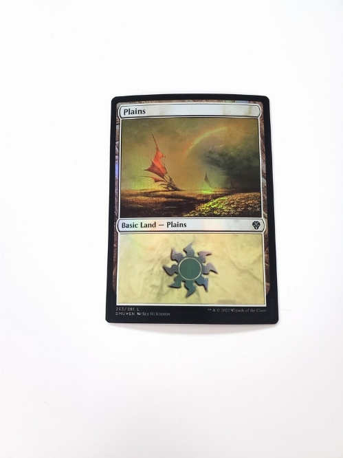 Plains (263) (Foil)