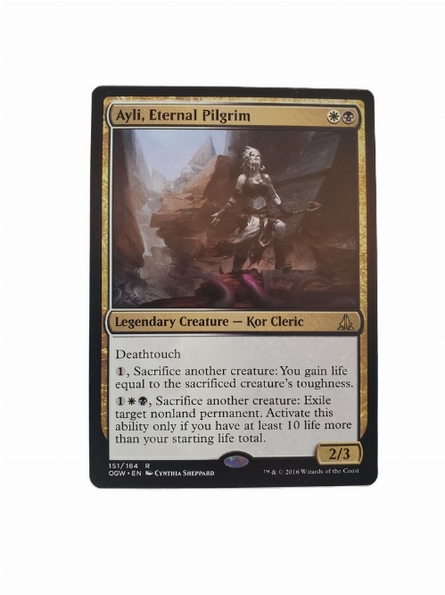 Ayli, Eternal Pilgrim