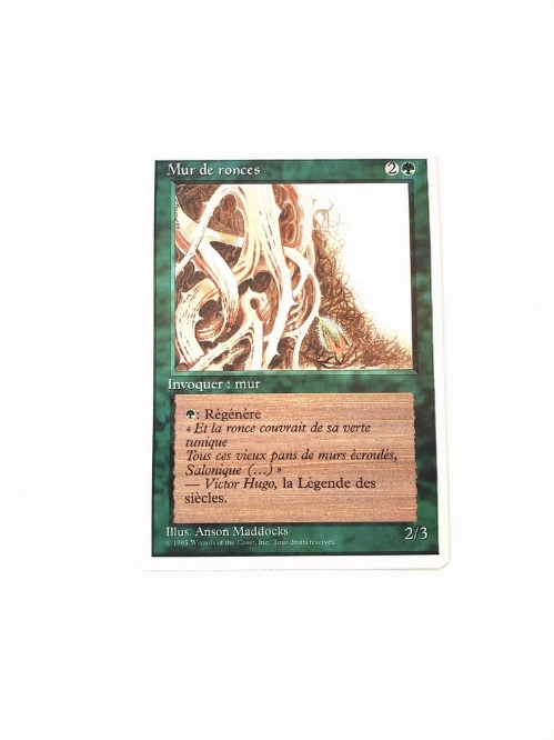 Wall of Brambles (Francaise)