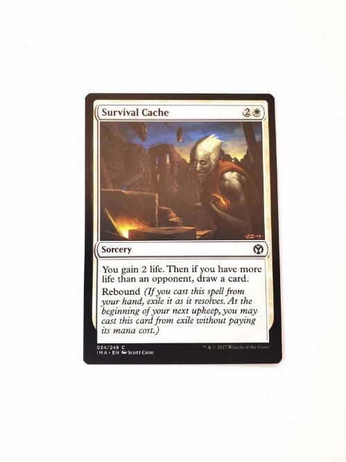 Survival Cache