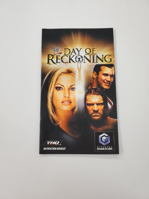WWE: Day of Reckoning (I)