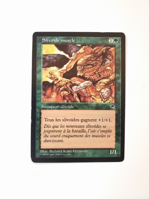 Muscle Sliver (Francaise)