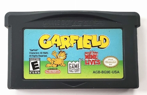 Garfield & His Nine Lives (C)