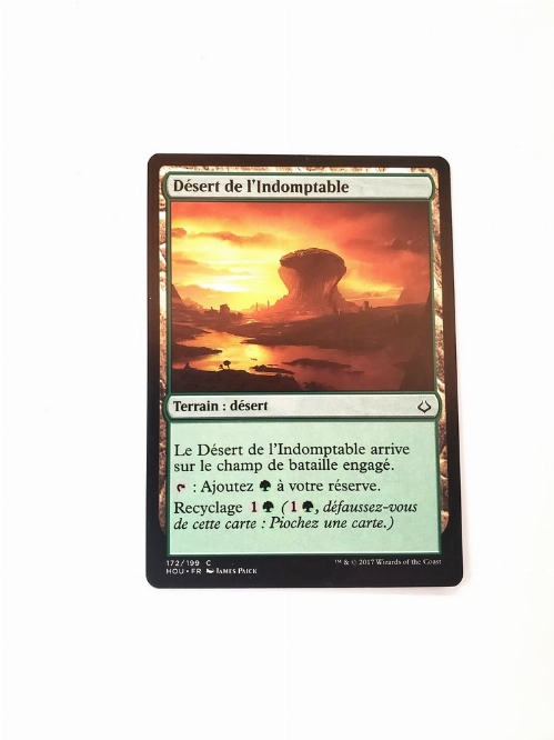 Desert of the Indomitable (Francaise)