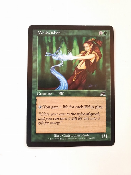 Wellwisher