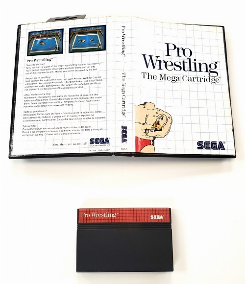 Pro Wrestling (CB)