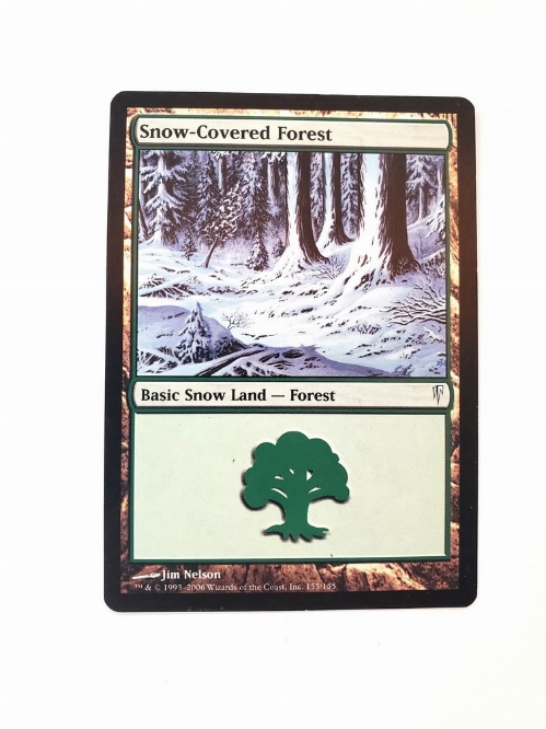 Snow-Covered Forest