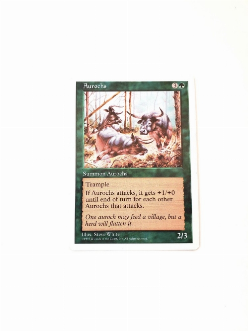 Aurochs