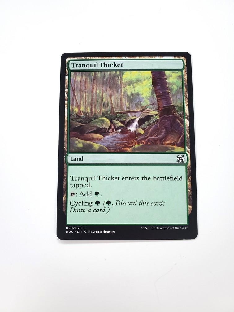 Tranquil Thicket