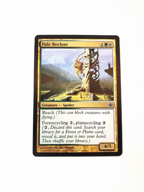 Pale Recluse