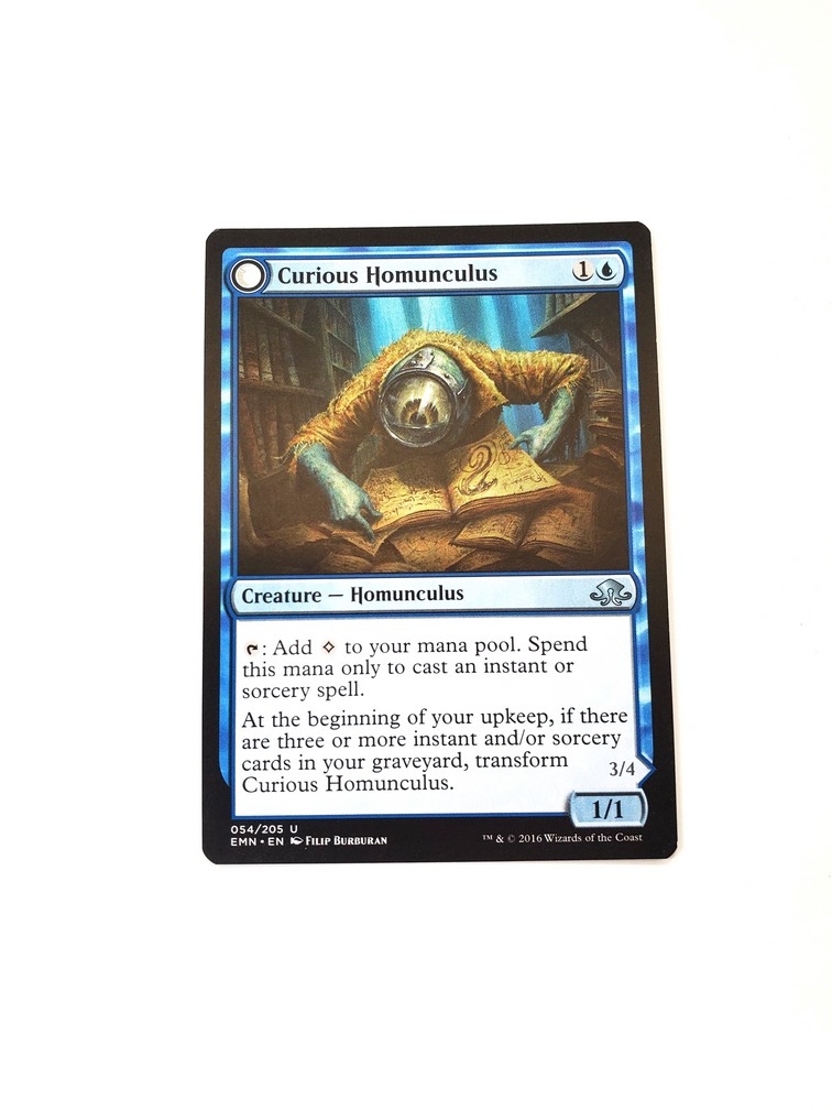 Curious Homunculus // Voracious Reader