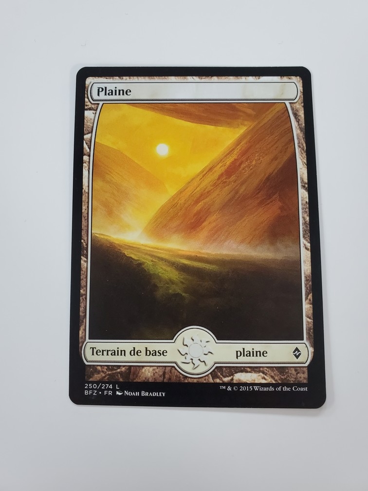 Plains (250) - Full Art (Francaise)