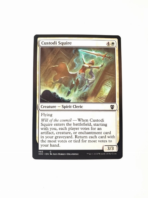 Custodi Squire