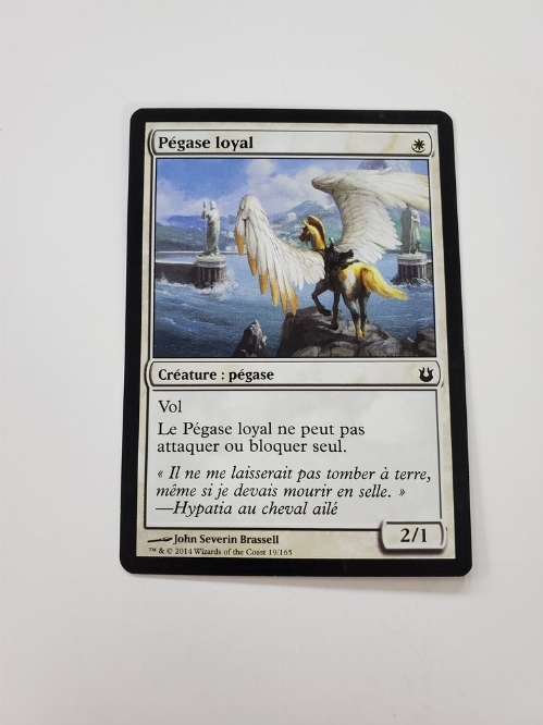 Loyal Pegasus (Francaise)