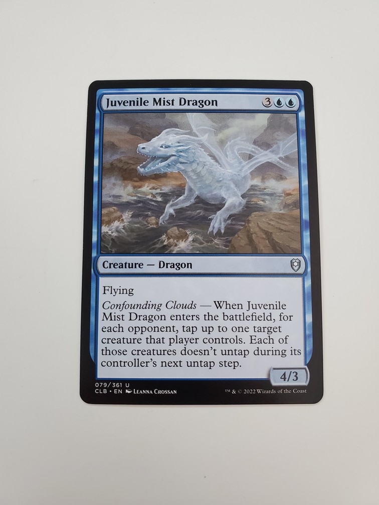 Juvenile Mist Dragon