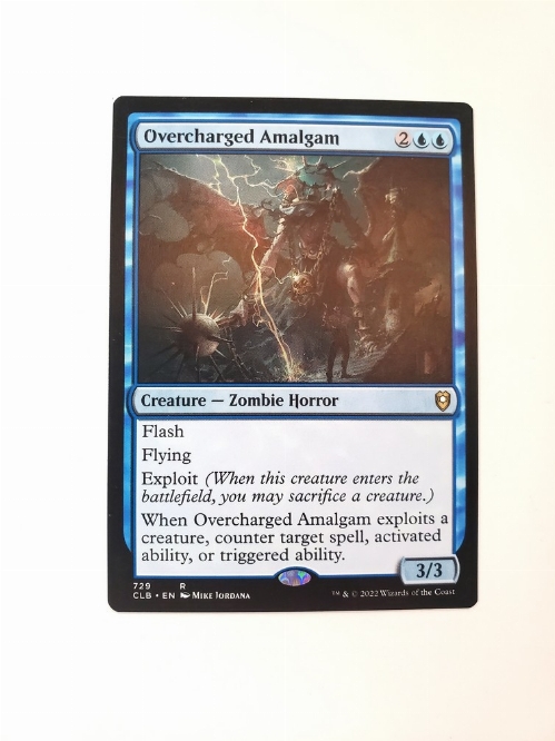 Overcharged Amalgam