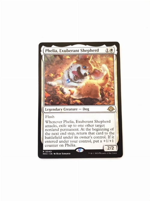 Phelia, Exuberant Shepherd